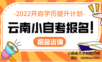 自考本科怎么找工作 云南小自考最简单实用的专业