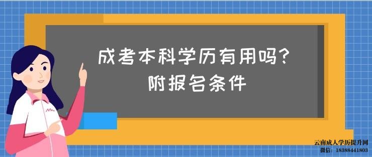 本科函授文凭有用吗 函授本科报名条件有哪些