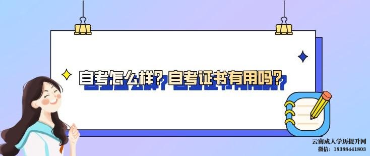 自考本科文凭有用吗 云南自考本科报名报名入口