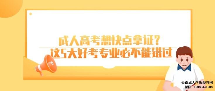 云南大学函授本科有哪些专业