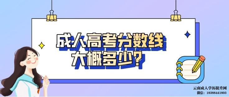 云南成考本科学位证书有什么用 云南成人高考录取分数线是多少