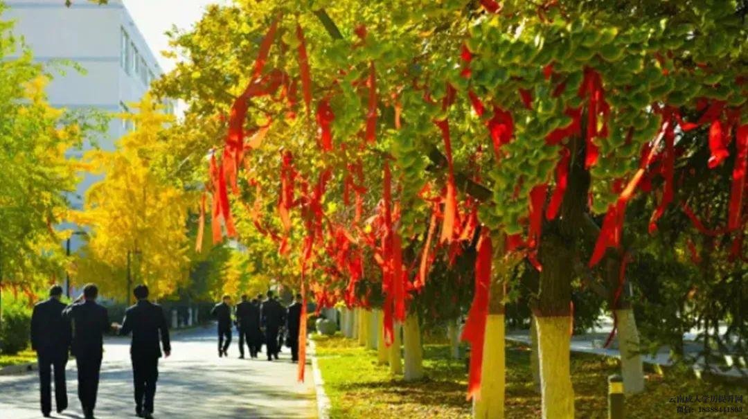 自考、成教、电大(开放)到底哪种学历最适合自己呢 云南省成人学历提升报考中心